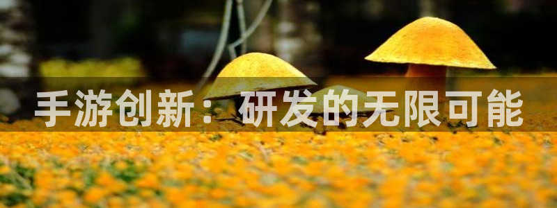 买三牛：手游创新：研发的无限可能