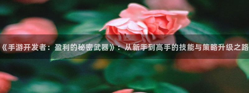 三牛娱乐是网络诈骗平台吗：《手游开发者：盈利的秘密武器》：从