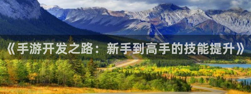 三牛娱乐哪里去了：《手游开发之路：新手到高手的技能提升》
