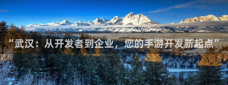 三牛娱乐负责人：“武汉：从开发者到企业，您的手游开发新起点”