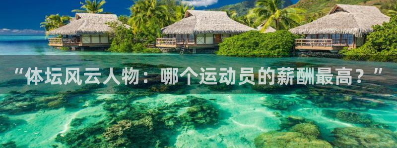 ug环球官网：“体坛风云人物：哪个运动员的薪酬最高？”