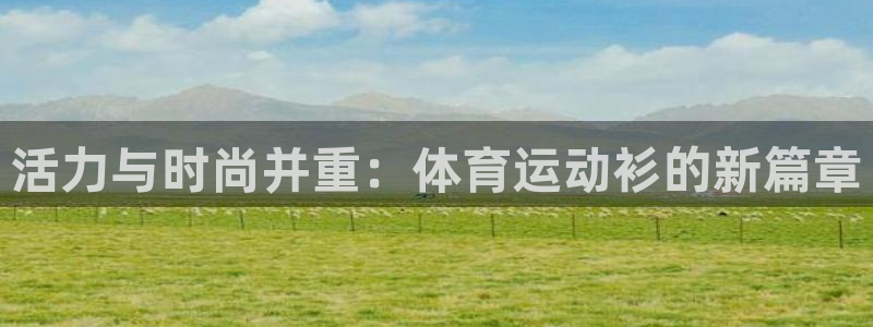 ug环球官网注册：活力与时尚并重：体育运动衫的新篇章